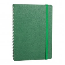 301910 ANITTEPE YEŞİL TARİHLİ AJANDA (17X24 CM)